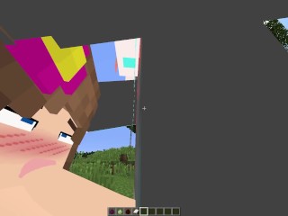 Basically Minecraft sex…